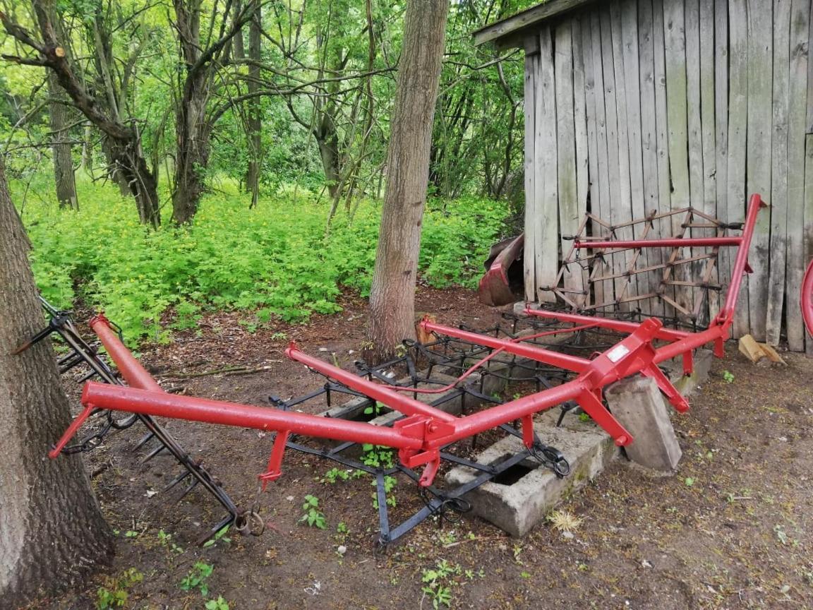 Maciejówka Gospodarstwo Agroturystyczne Poddebice Exterior foto