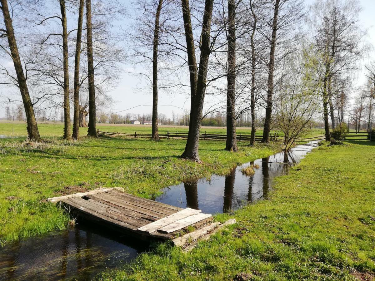 Maciejówka Gospodarstwo Agroturystyczne Poddebice Exterior foto